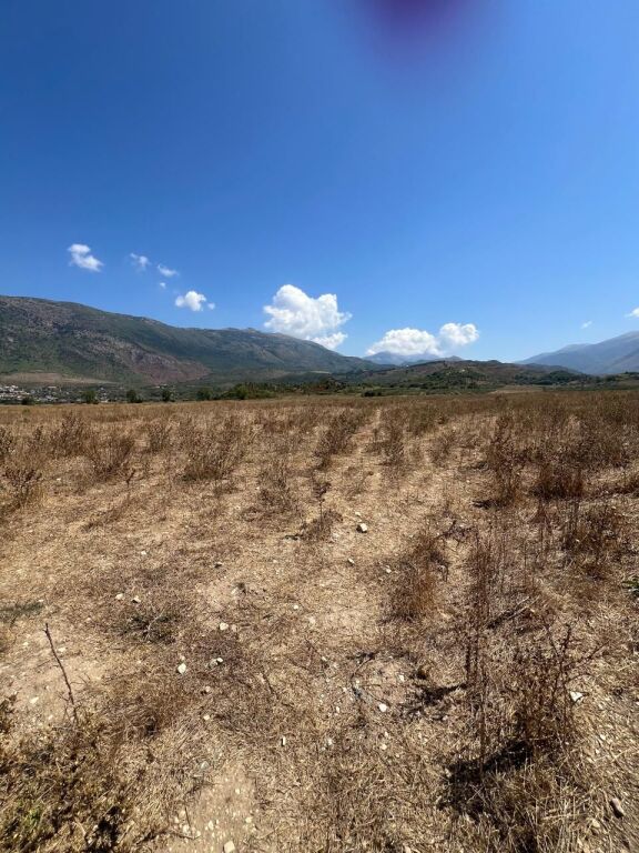 SHITET TOKË ARË 11,000 m² NË TRAGJAS, VLORË – IDEALE PËR AGROTURIZËM DHE INVESTIM