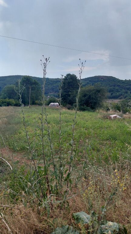 Zall-Herr vende terreno con certificato di proprietà in vendita.  