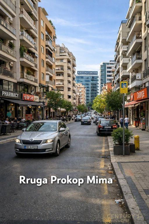 SHESIM AMBIENT KOMERCIAL NE KOMUNE TE PARISIT