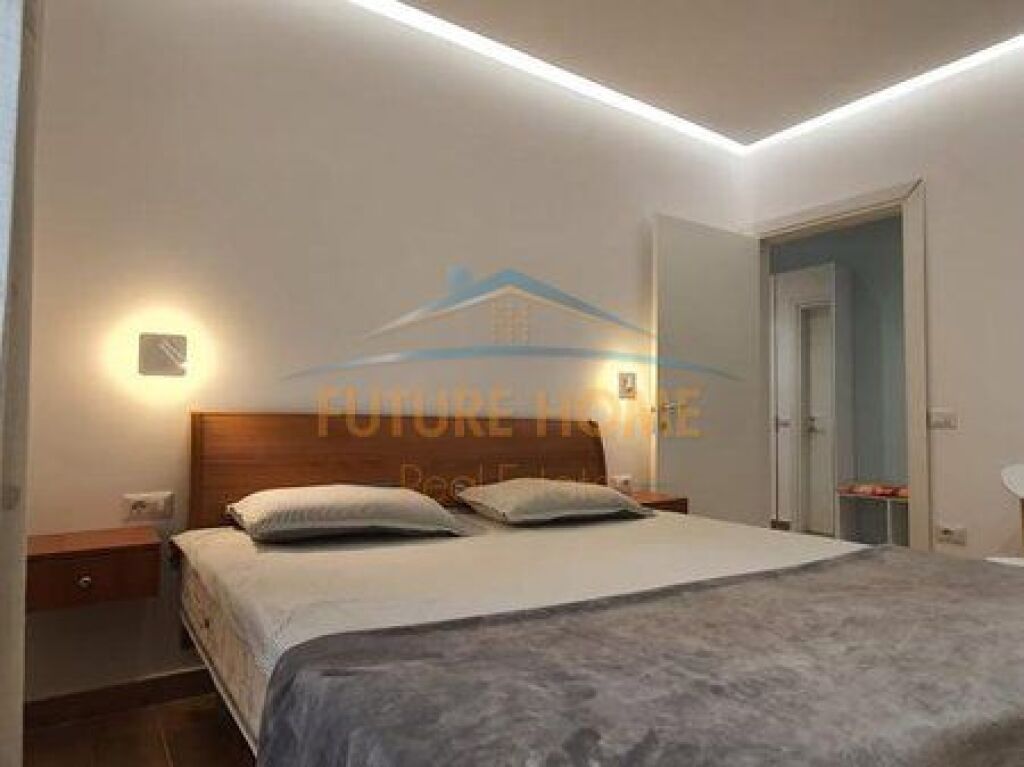 Rent, Apartment 1+1, Frosina Plaku Street, Tirana