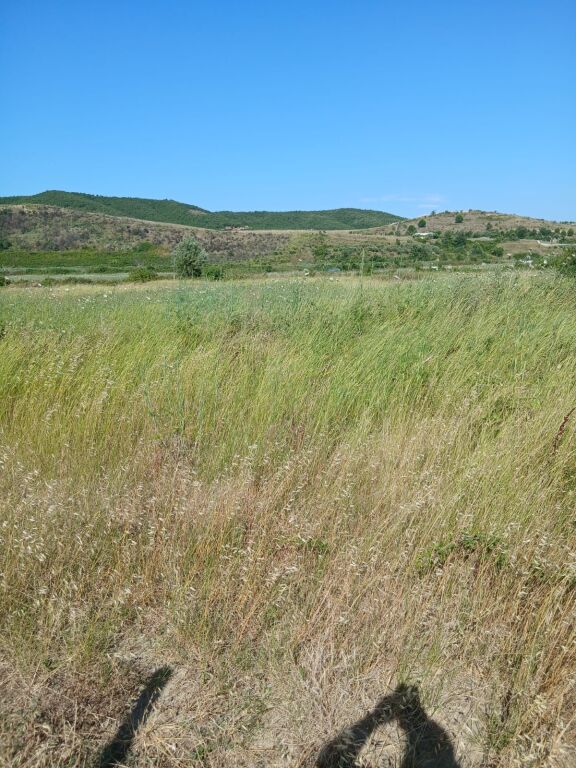 TERRENO IN VENDITA 4375 m2 NEL GOLFO DI LALZ, A 150 M DA MELIA RESORT