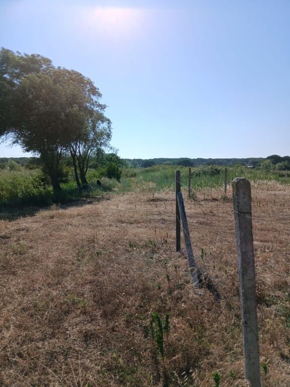 TERRENO IN VENDITA 4375 m2 NEL GOLFO DI LALZ, A 150 M DA MELIA RESORT