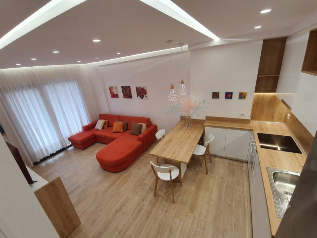 Rent, Apartment 1+1, Frosina Plaku Street