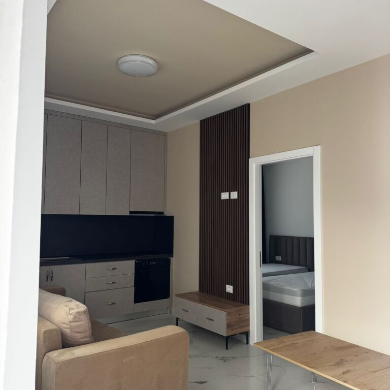 5-Maji, affittasi appartamento 1+1.