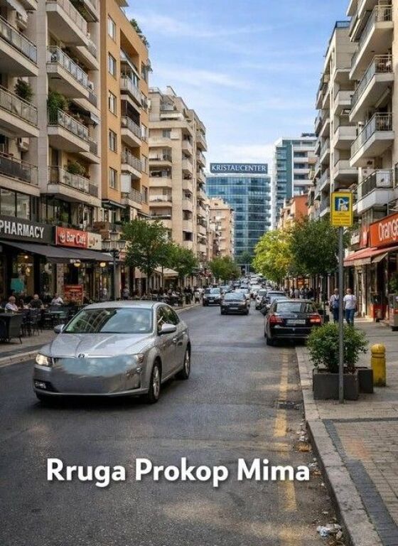SHESIM AMBIENT KOMERCIAL NE KOMUNE TE PARISIT