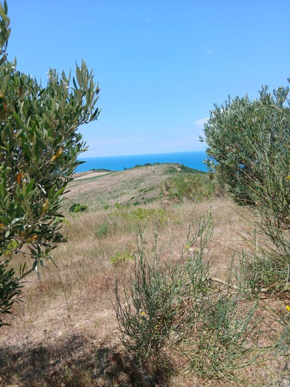 SHITET TOKE ULLISHTE 14600m2 ,,NE ZEMER TE KEPIT TE RODONIT