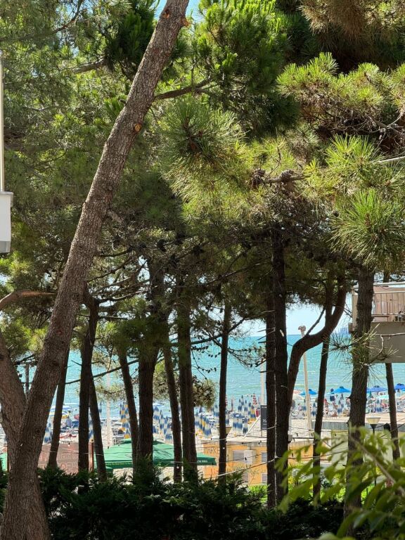 🌊 DAILY RENT APARTMENT – SHKËMBI I KAVAJËS 🌊
