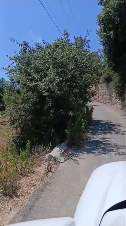 SHITET TOKE 1800 m2 ,Shetaj,Mulliri i vjeter