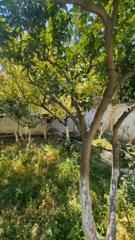 🏡 VILLA DI 3 PIANI IN AFFITTO – VICINO ALLA SCUOLA "2 GJELAT"