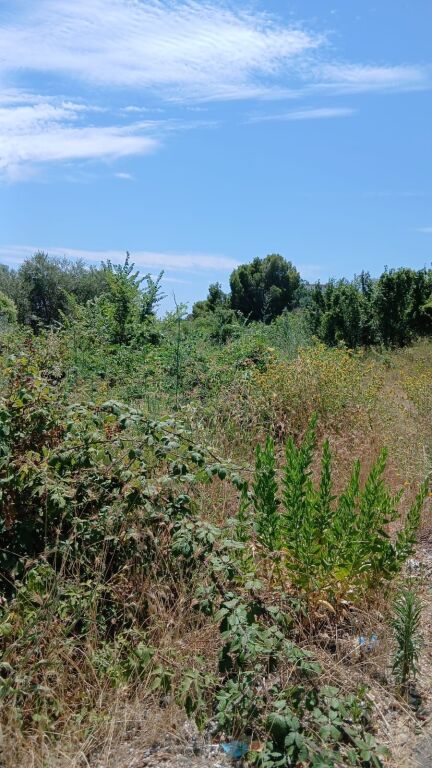 SHITET TOKE 1800 m2 ,Shetaj,Mulliri i vjeter