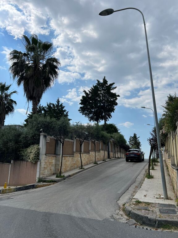 Vile ngjitur me Vilen e Shefit te Brunes dhe ish-presidentit