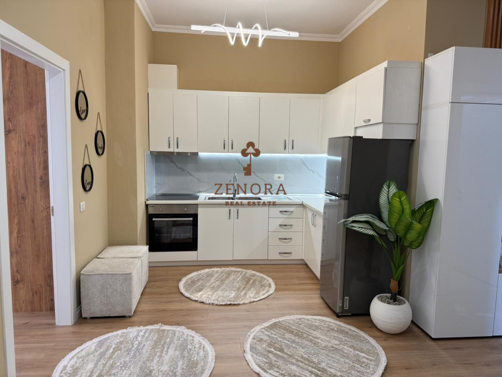 AFFITTASI APPARTAMENTO 1+1 – GIARDINO BOTANICO, TIRANA (D111008TR)