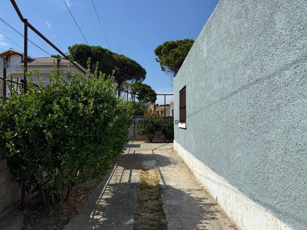 SHITET SHTEPI PRIVATE PRAN PLAZHIT TE VJETER-VLORE