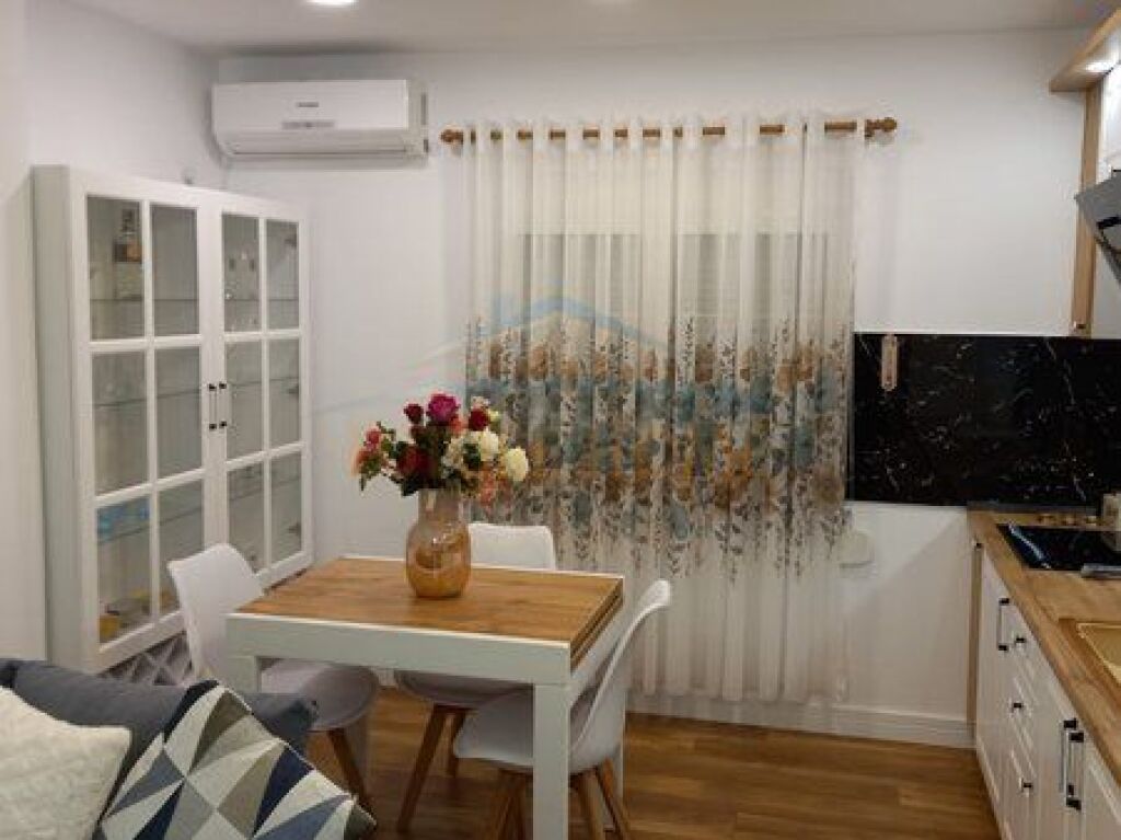 Rent, Apartment 1+1, Dinamo Stadium