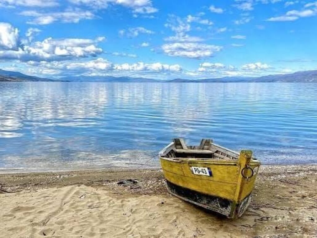 SHITET TOKE NE POGRADEC BUZE LIQENIT  3000 M2