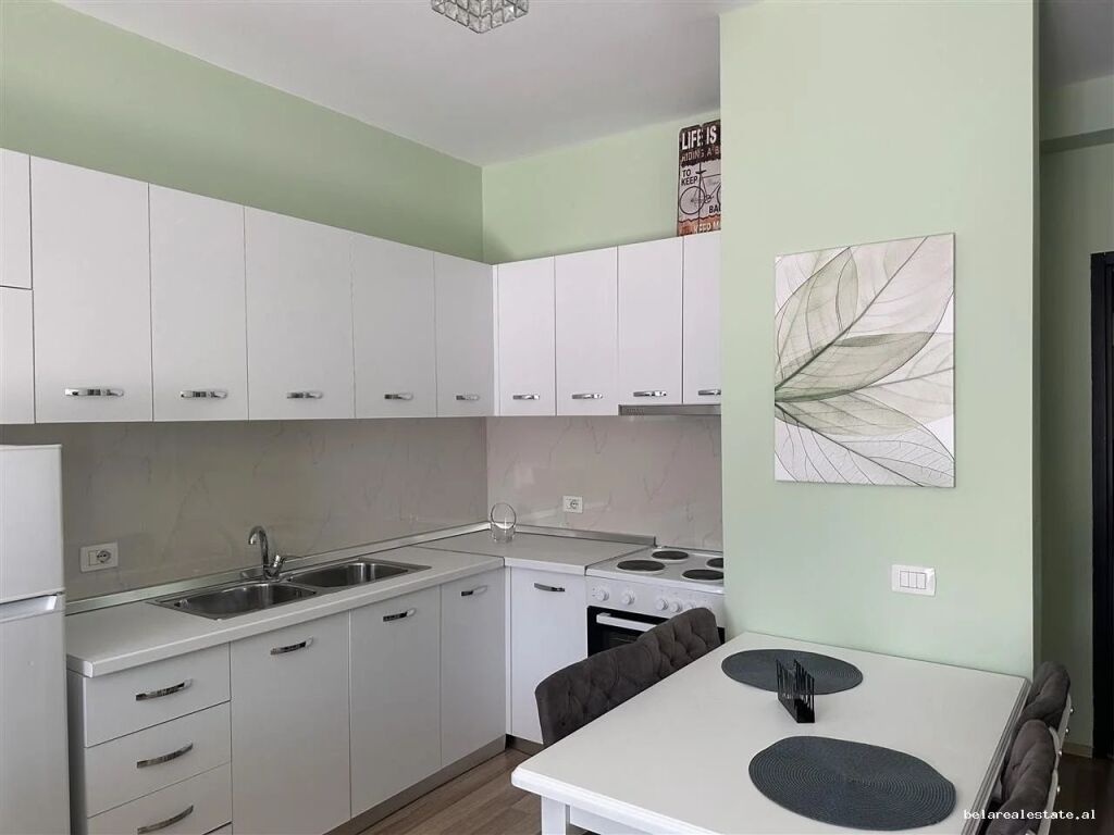 Apartment for Rent 1+1 in the Center (ID B210791) Tirana