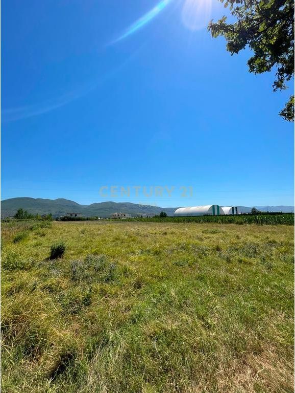 Tokë për Shitje në Periferia Lezhë - 130000€ | 4000 m² 130,000 €
