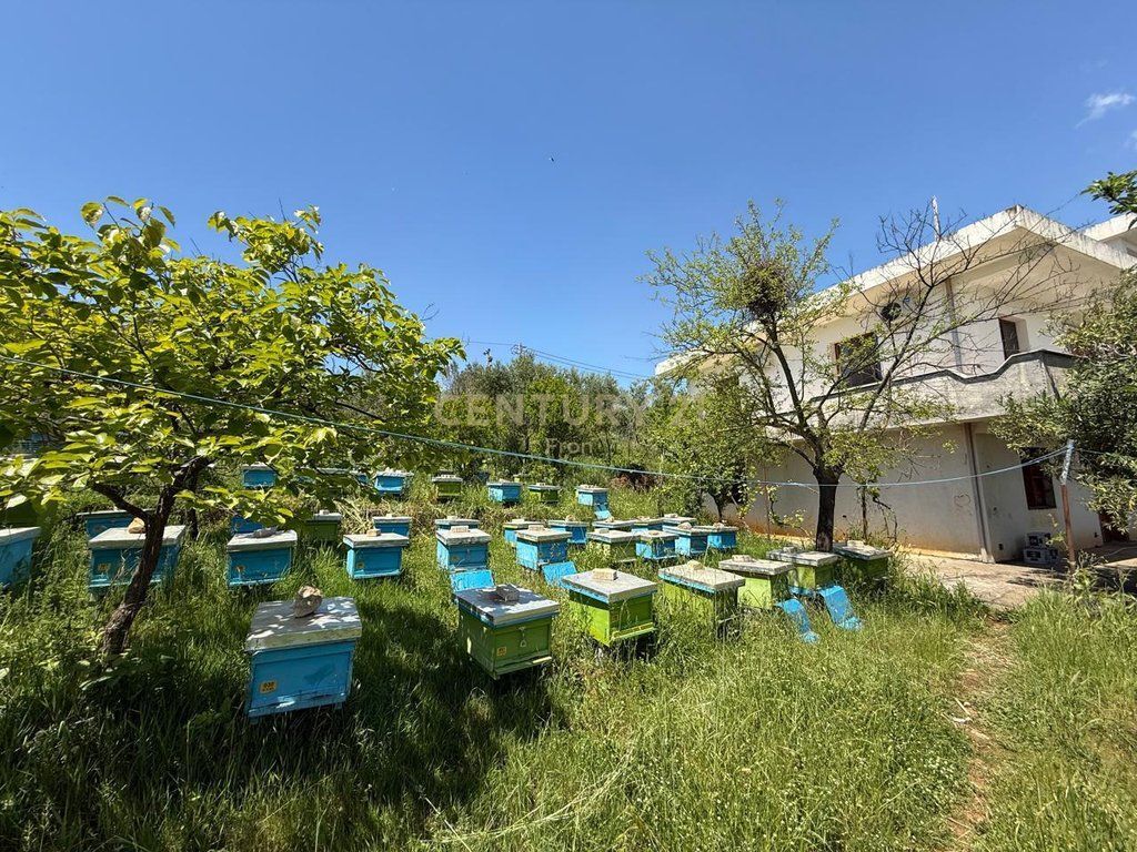 Shitet Vilë me Truall 2,150 m² në Çekrezë, Tirane – Mundësi ideale për banim dhe agrobiznes!