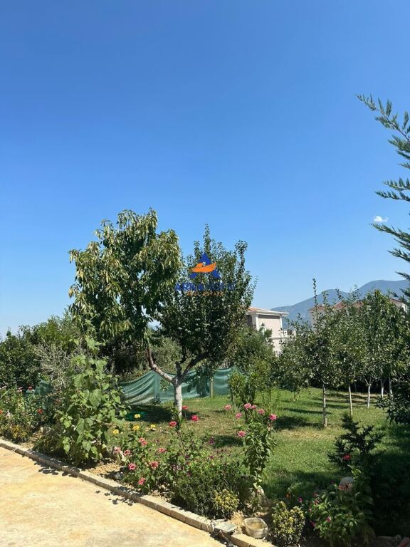 3-STOREY VILLA FOR RENT "MJULL BATHORE, NEAR TEG" 330,000 LEKE