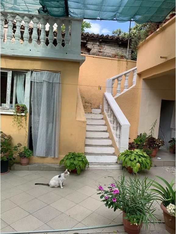 Vile 2 Katshe + Njesi Biznesi tek Gjykata, Durres !