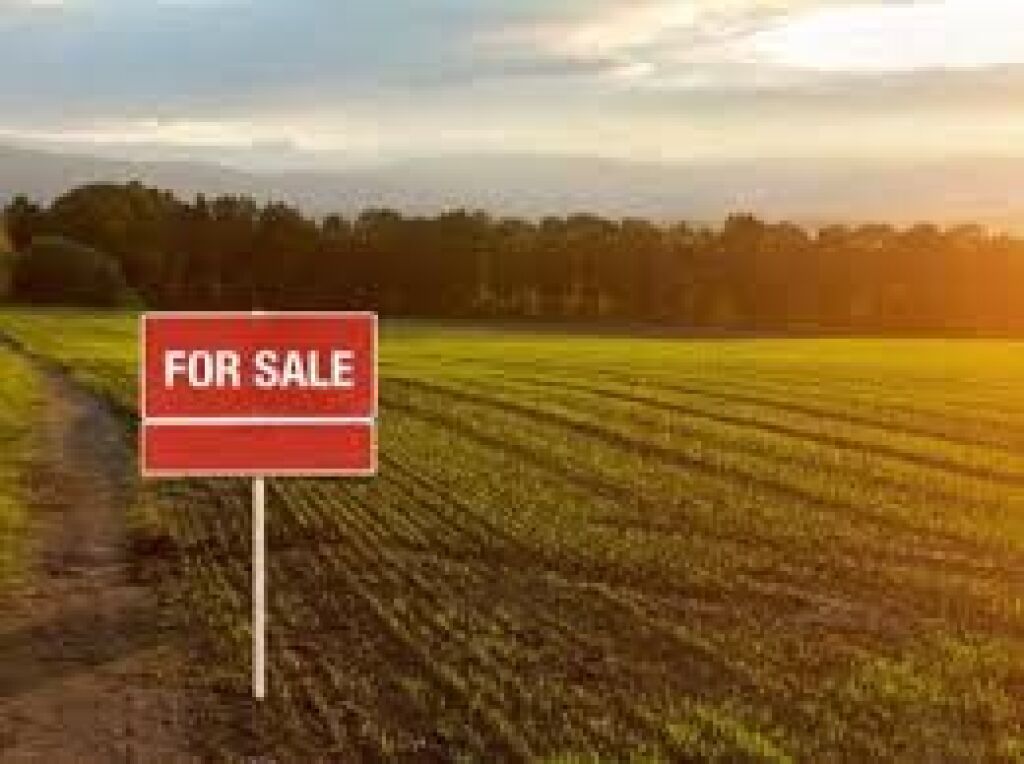 🏡 SHITET TOKË – AUTOSTRADA TIRANË–DURRËS Çmimi: 120 €/m² 🚨