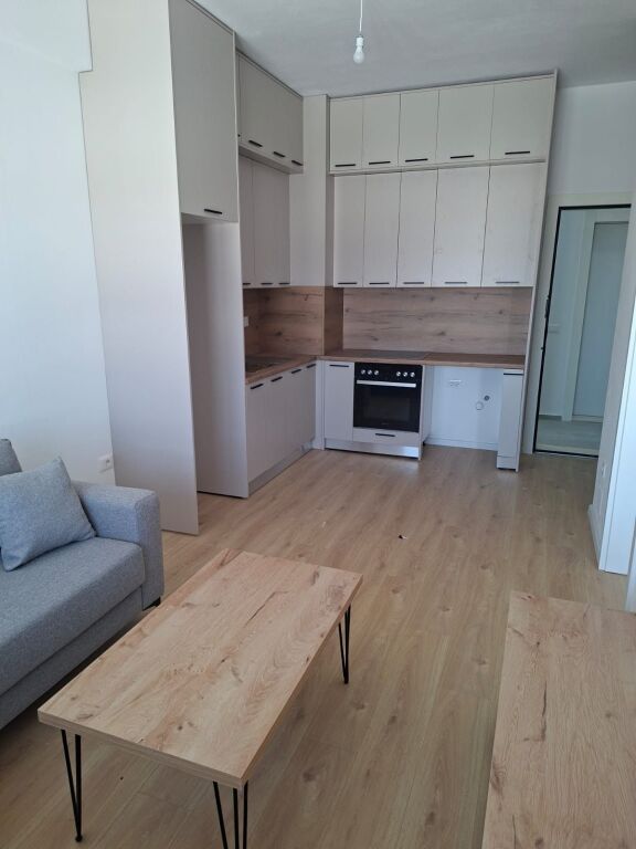 Apartment 1+1 for Rent