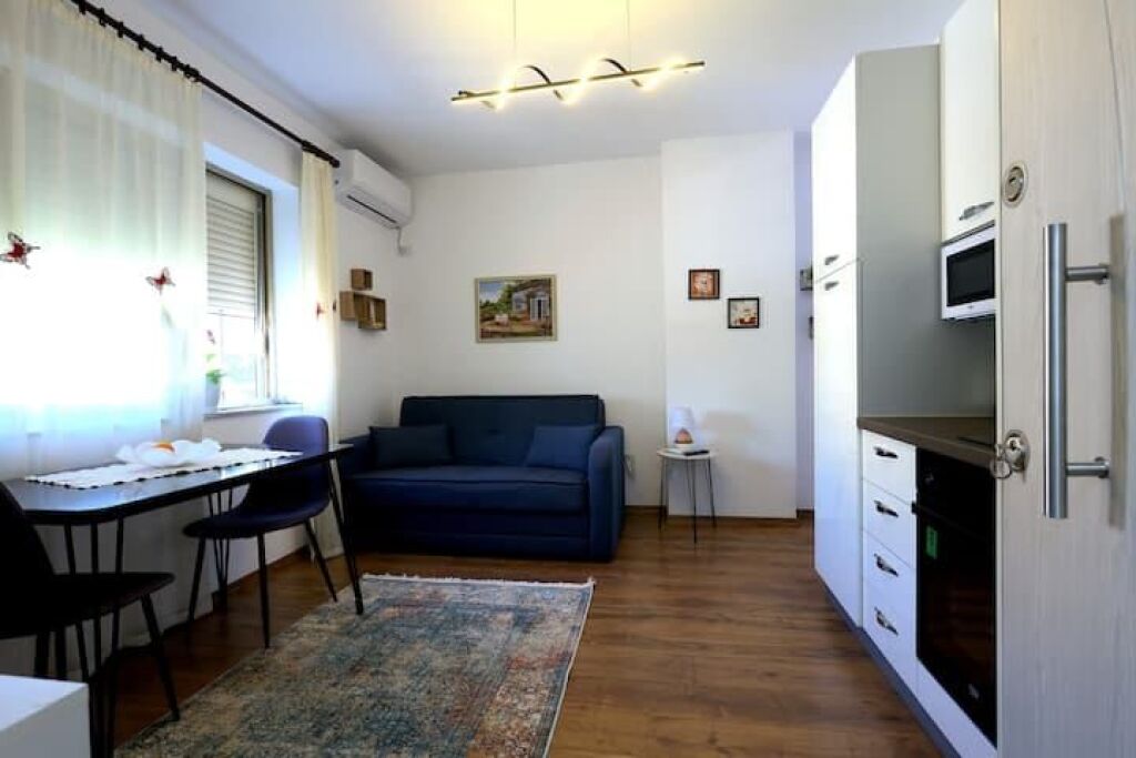 Apartment for rent in the Blloku area