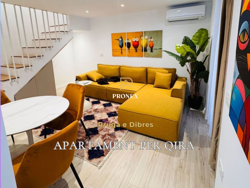 Apartament per qira 1+1 tek Rruga e Dibres
