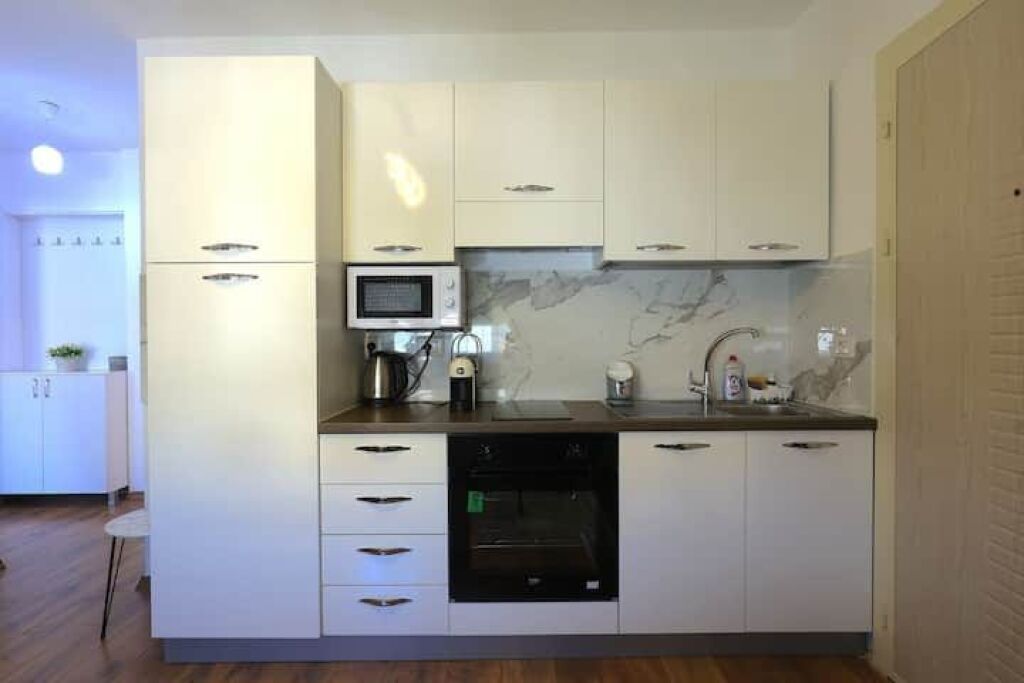 Apartment for rent in the Blloku area