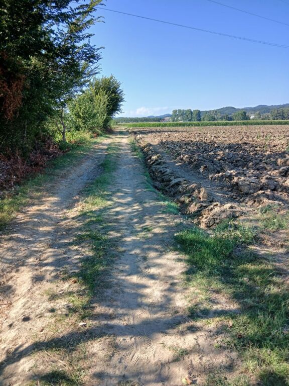 Tokë për investim në Hamallaj – Pranë Porto Lalzit,40.000m2