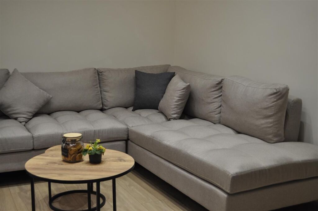 Appartamento In Affitto 2+1 A Ali Demi (ID B221324) Tirana.