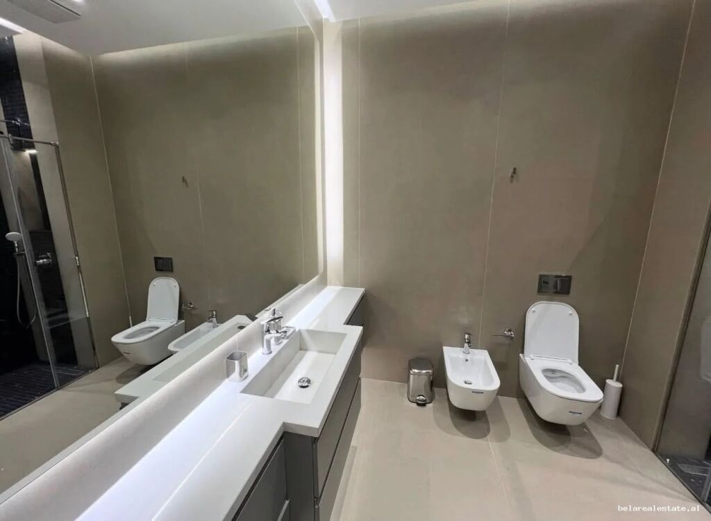 Appartamento in affitto 1+1 a 21 Dhjetori (ID B2101814) Tirana