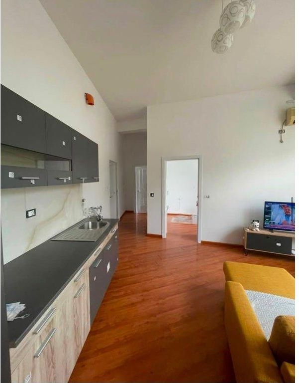 Apartament 1+1 me Qira - Kopshti Zoologjik