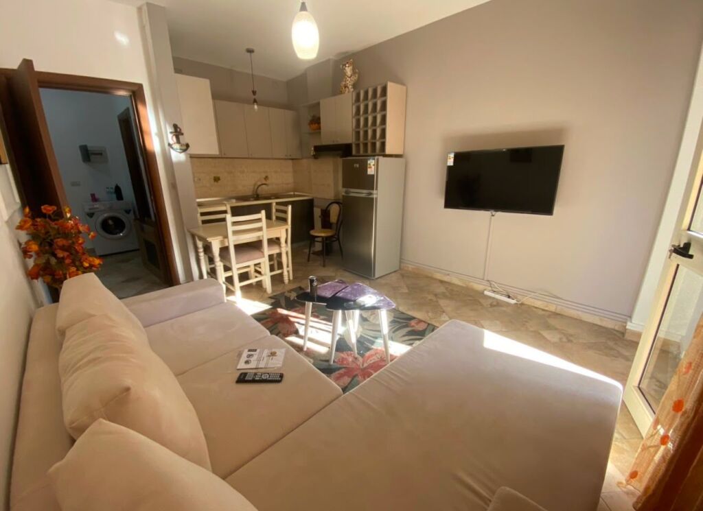 APARTMENT FOR RENT 1+1, PARIS COMMUNE