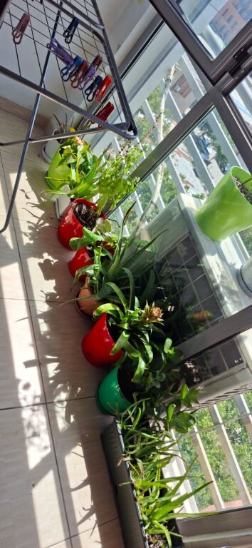 Affittasi Appartamento 2+1+1 con Balcone