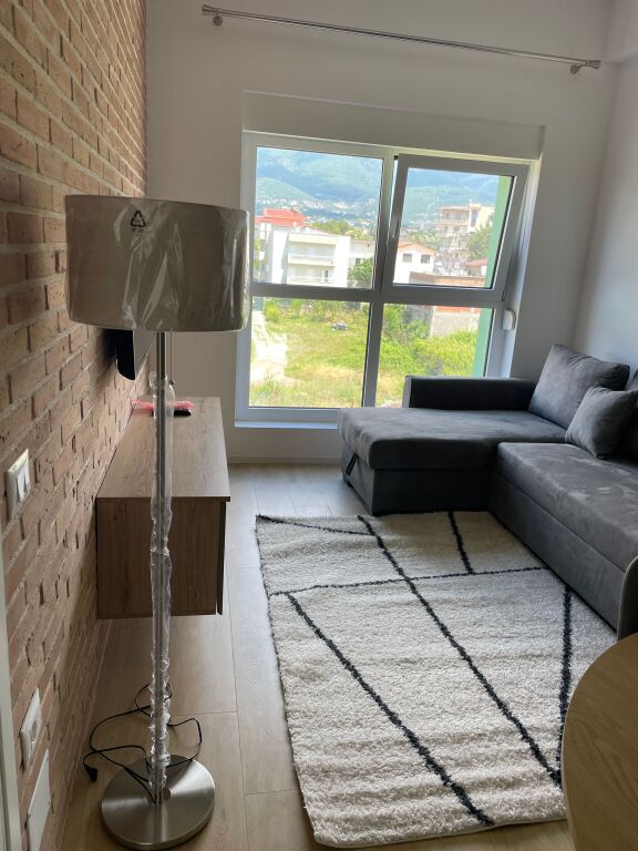Apartment 1+1 for rent