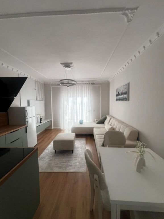 SHITET APARTAMENT 1+1 NE ZONEN E GOLEMIT