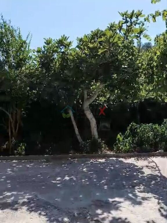 Jepet me qera kati i parë i një vile private në Spitallë, Durrës.