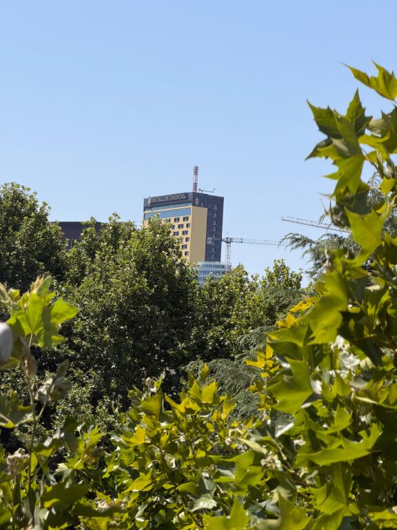 Apartament 1+1 te Rruga Elbasanit