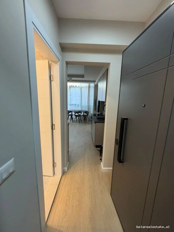 Apartment For Rent 1+1 At Ali Demi (ID B2101822) Tirane