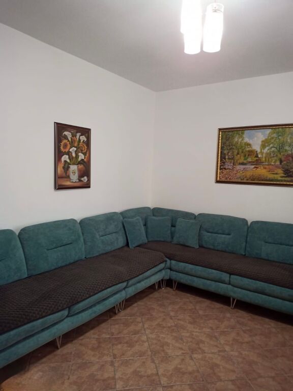 Apartament me qera 1+1 Mine Peza