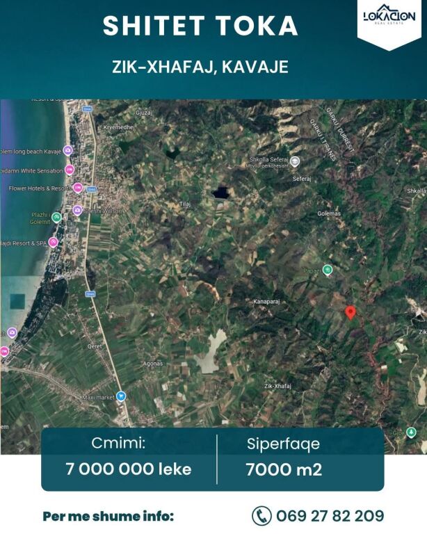SHITET TOKE 7000 M - ZIK-XHAFAJ, KAVAJE
