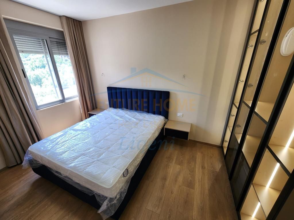 Rent, Apartment 2+1, Dry Lake, Tirana. 750 €    70,000 Lekë