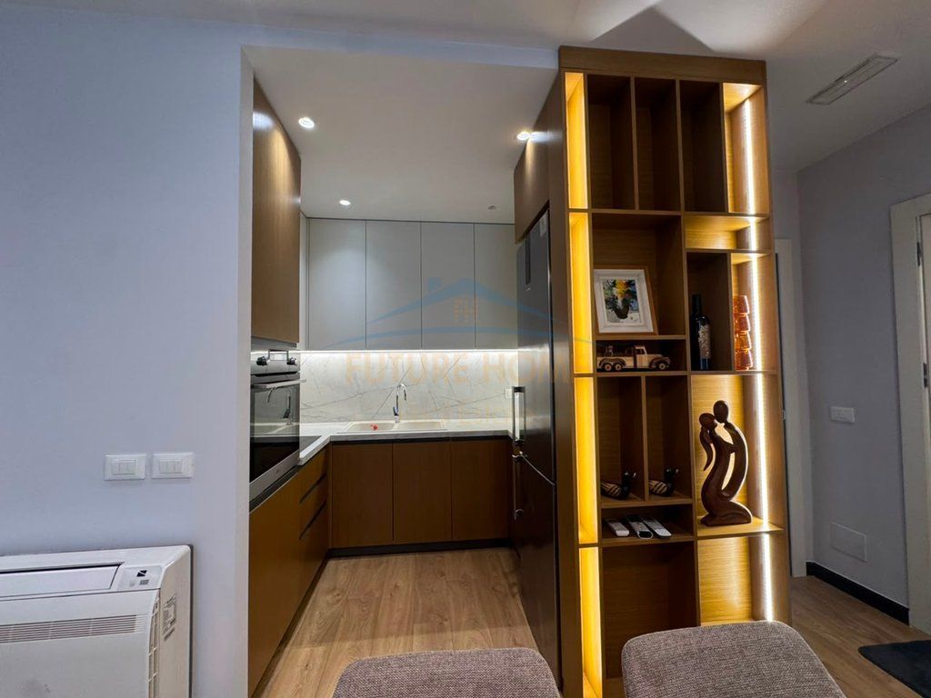 Rent, Apartment 2+1+ Parking Space, Dry Lake, Tirana .