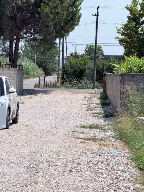 SHITET TOKE PRANE RESTORANT FLAMENGO NE ZONEN E SHIJAKUT, DURRES