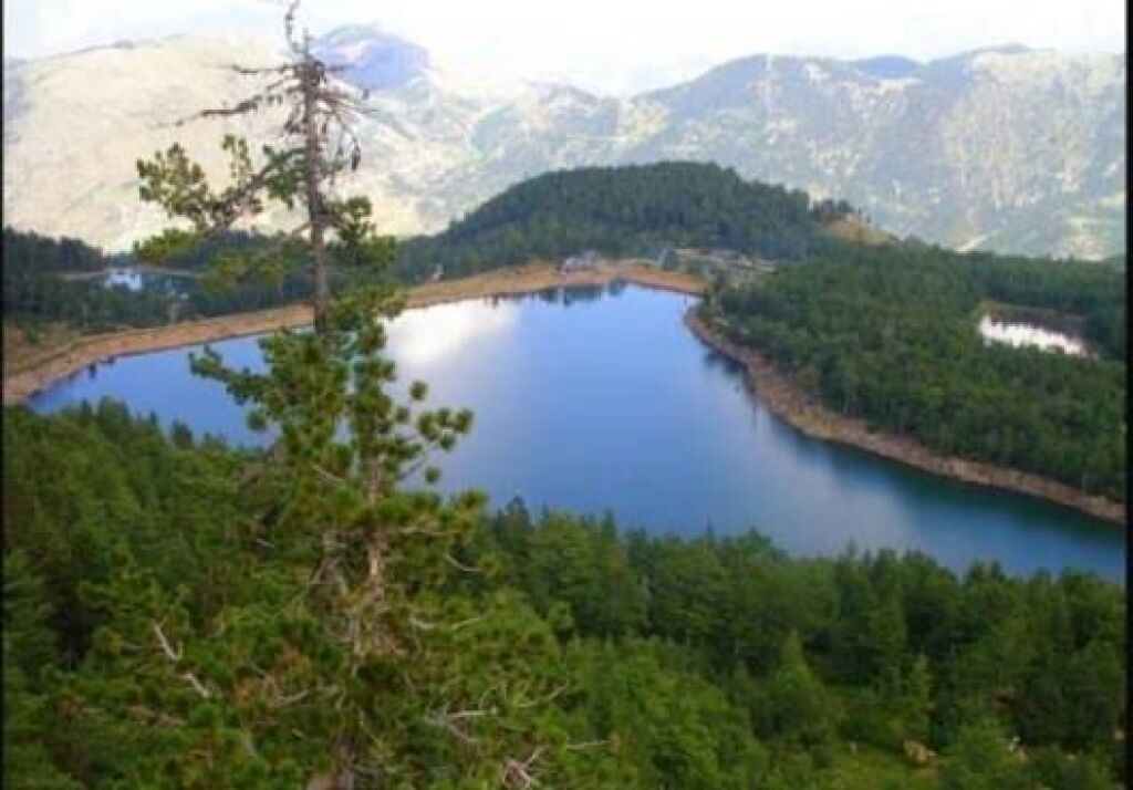 TOKE PER SHITJE 8906 M2 FARKE E VOGEL