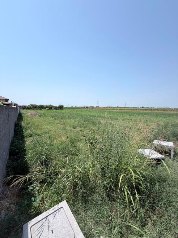 SHITET TOKE PRANE RESTORANT FLAMENGO NE ZONEN E SHIJAKUT, DURRES