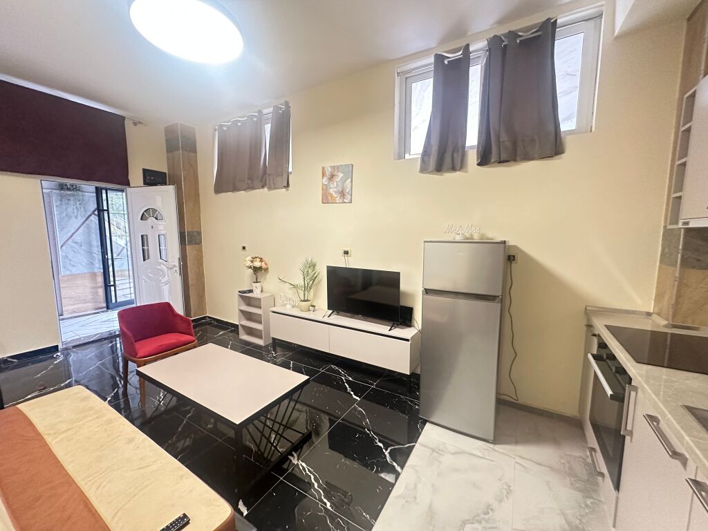 ALI DEMI, JAPIM APARTAMENT PER QIRA 1+1
