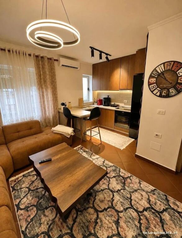 Appartamento In Vendita 1+1 in Ali Dem (ID B111150) Tirana