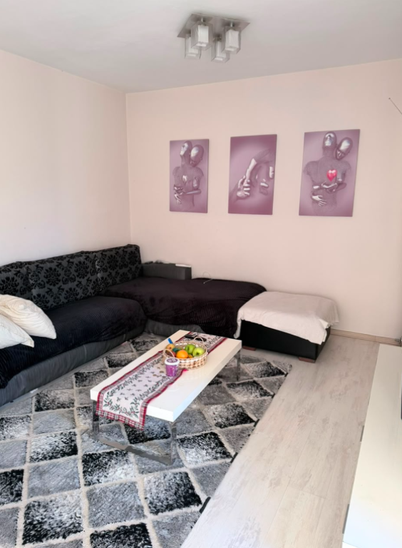 Apartment 1+1 for Rent in Brryl, near the New Maternity
